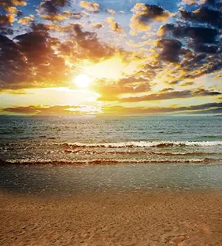 Vinyl cloth High quality Computer printed Sunset backdrop sand Photography Backgrounds
Vinyl cloth High quality Computer printed Sunset backdrop sand Photography Backgrounds