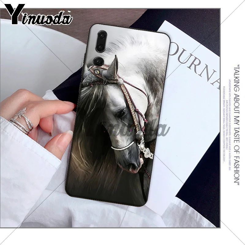 andalusian horse