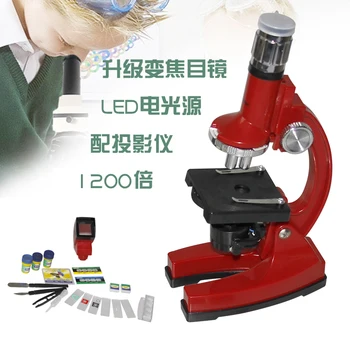 Creative birthday gift/best gift for child/1200X Fun Zoom Student Education Biological Microscope Silver color
Creative birthday gift/best gift for child/1200X Fun Zoom Student Education Biological Microscope Silver color
