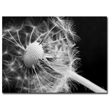 DIY 5D Diamond Embroidery Black and white Dandelion Diamond Painting Full Square Cross Stitch Rhinestone Mosaic Handmade gift
DIY 5D Diamond Embroidery Black and white Dandelion Diamond Painting Full Square Cross Stitch Rhinestone Mosaic Handmade gift