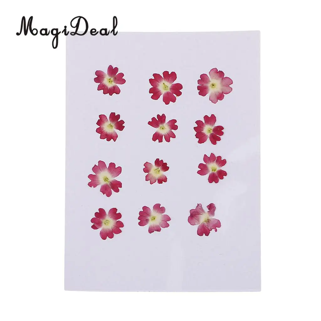 22pcs Mini Natural Dried Flowers Verbena Forget-me-not Embellishment for DIY Pendants Charms Nail Art Decoration