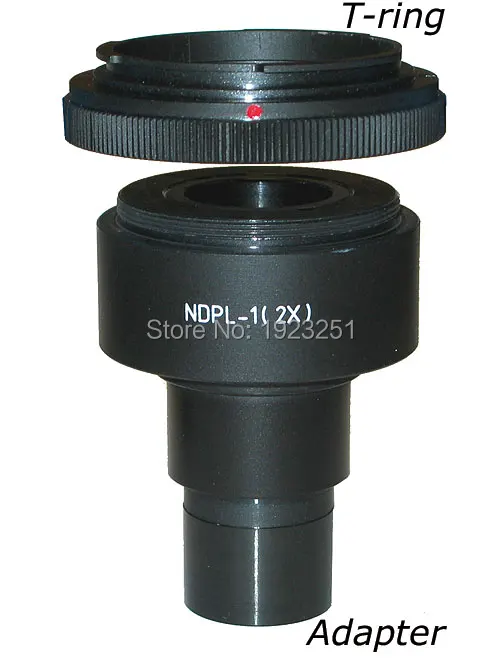 N1