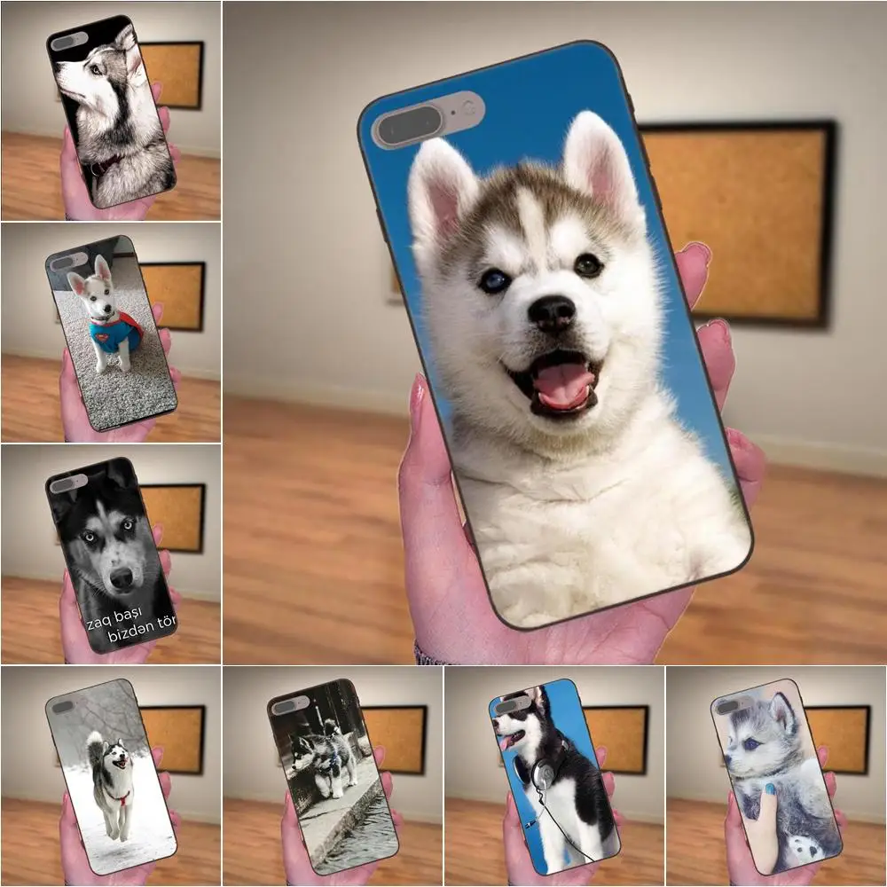 Luxury Hybrid Phone Case Animal Husky Puppy Dogs For Huawei Honor Enjoy Mate Note 6s 8 9 10 20 P20 P30 Lite Play Pro P smart
Luxury Hybrid Phone Case Animal Husky Puppy Dogs For Huawei Honor Enjoy Mate Note 6s 8 9 10 20 P20 P30 Lite Play Pro P smart
