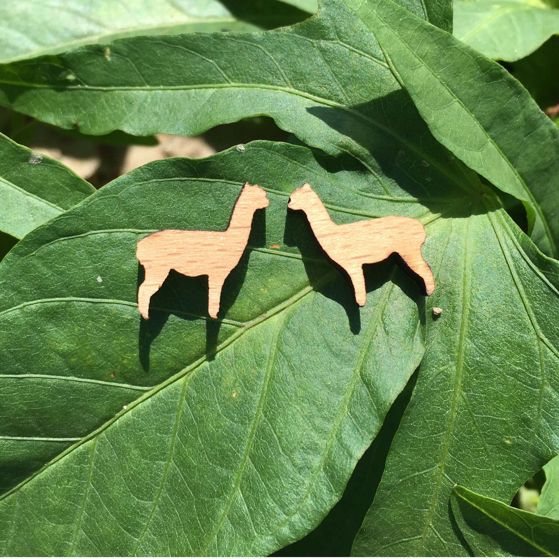 Natural Style Laser Engraved Lama Pacos Earrings Alpaca Stud Lovely Animal Earrings Wooden Earring Handmade Earrings X 10 Pairs
Natural Style Laser Engraved Lama Pacos Earrings Alpaca Stud Lovely Animal Earrings Wooden Earring Handmade Earrings X 10 Pairs