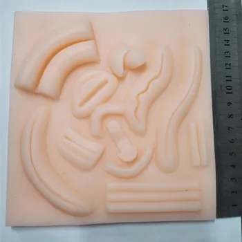 Human Anatomical Skin Suture Pad with Wounds Laparoscopic 3D Suture Practice Model Silicone Educational Model Skin Suture Module
Human Anatomical Skin Suture Pad with Wounds Laparoscopic 3D Suture Practice Model Silicone Educational Model Skin Suture Module