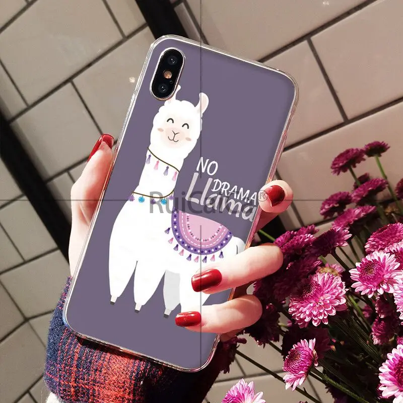 Lama Llama Alpacas Animal