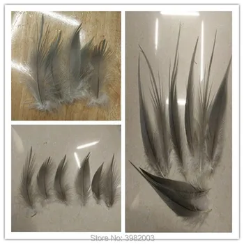 wholesale 100pcs high quality rare gray egret feather silk 10-25cm/4-10 inch collected decorative accessories
wholesale 100pcs high quality rare gray egret feather silk 10-25cm/4-10 inch collected decorative accessories