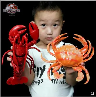 Soft plastic simulation lobster crab model toy plastic static marine animal children cognitive gift-161
Soft plastic simulation lobster crab model toy plastic static marine animal children cognitive gift-161