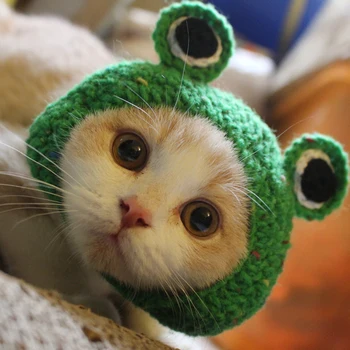 Pet Hand-Knitted Hat Cat Hat Hairband Winter Dog Caps Green Woolen Puppy Hat Pet Costume Accessories for Small Dogs Size: S/M
Pet Hand-Knitted Hat Cat Hat Hairband Winter Dog Caps Green Woolen Puppy Hat Pet Costume Accessories for Small Dogs Size: S/M