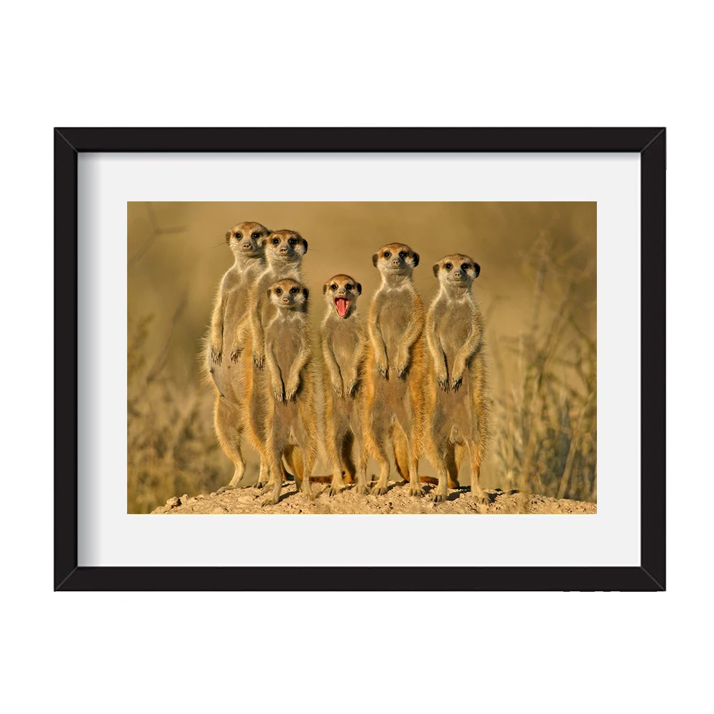 Funny Animals Cat Dog Meerkat Family Mongoose Posters and Prints Wall Pictures for Living Room Home Decor Modern Canvas Painting
Funny Animals Cat Dog Meerkat Family Mongoose Posters and Prints Wall Pictures for Living Room Home Decor Modern Canvas Painting