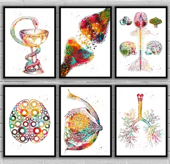 Bowl Of Hygieia Brain Spine Brain Mechanism Brain Synapse Breast Anatomy Bronchial Tree Anatomical Medical And Science Poster
Bowl Of Hygieia Brain Spine Brain Mechanism Brain Synapse Breast Anatomy Bronchial Tree Anatomical Medical And Science Poster