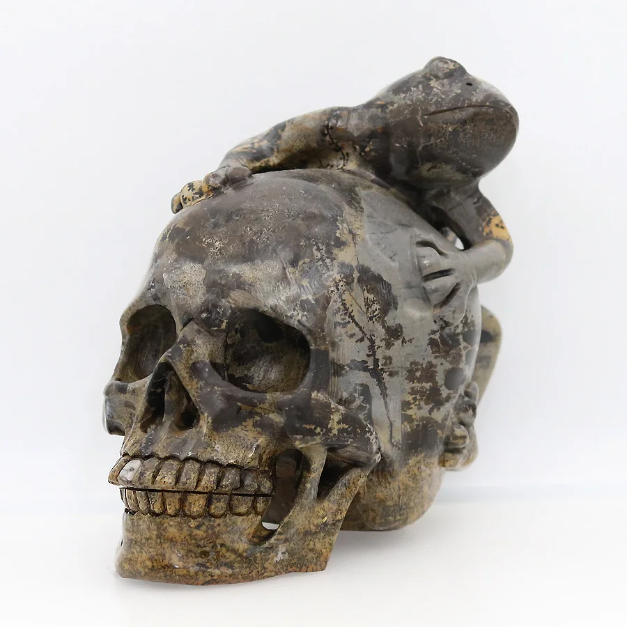 6" 1707g,PICTURE STONE Carved Frog Crystal Skull Crystal Realistic Healing Furnishing Articles Figurine AX53
6" 1707g,PICTURE STONE Carved Frog Crystal Skull Crystal Realistic Healing Furnishing Articles Figurine AX53