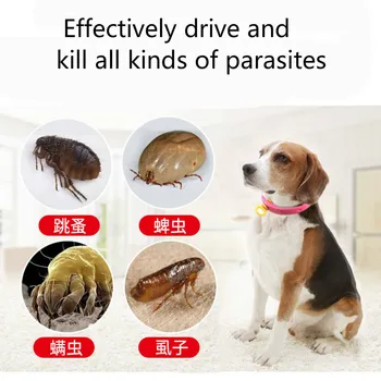 2 pcs/lot Fleas Circle Lice Deworming Pet Dog Cat Collar PEST CONTROL Plant Formula Ssafe Non-toxic Environmental protection
2 pcs/lot Fleas Circle Lice Deworming Pet Dog Cat Collar PEST CONTROL Plant Formula Ssafe Non-toxic Environmental protection