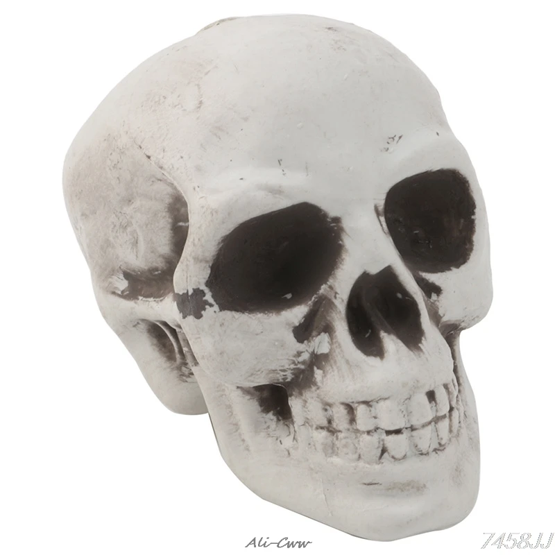Skull Decor Prop Skeleton Head Plastic Halloween Day Coffee Bars Ornament DropShip
Skull Decor Prop Skeleton Head Plastic Halloween Day Coffee Bars Ornament DropShip