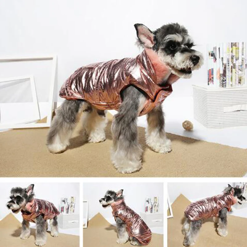 OnnPnnQ Dog Winter Clothes Two Foot Warm Down Jackets Coat Thicken For Medium Large Dogs Big Labrador Hoodies Golden Retriever
OnnPnnQ Dog Winter Clothes Two Foot Warm Down Jackets Coat Thicken For Medium Large Dogs Big Labrador Hoodies Golden Retriever