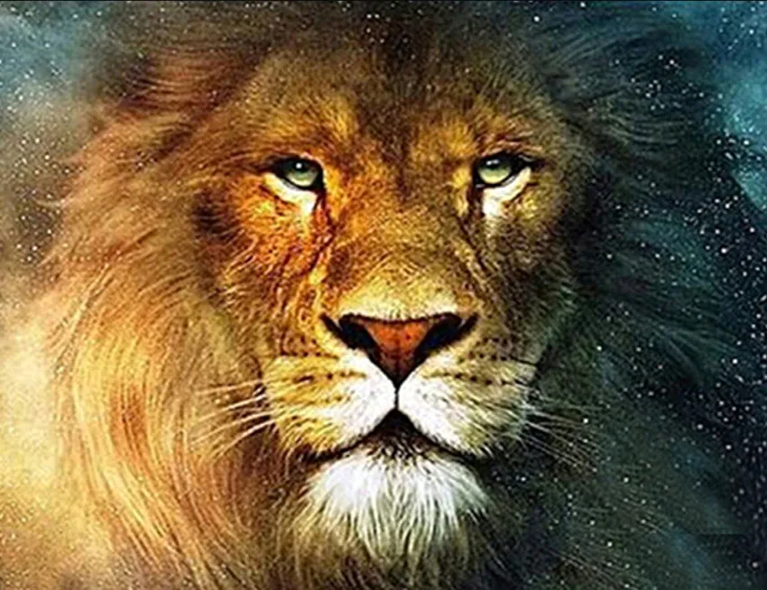 Free Shipping Diamond Painting Cartoon Diamond Embroidery 5D DIY Diamond Painting Diamond Cross Stitch Partial Drill Lion 40x30
Free Shipping Diamond Painting Cartoon Diamond Embroidery 5D DIY Diamond Painting Diamond Cross Stitch Partial Drill Lion 40x30