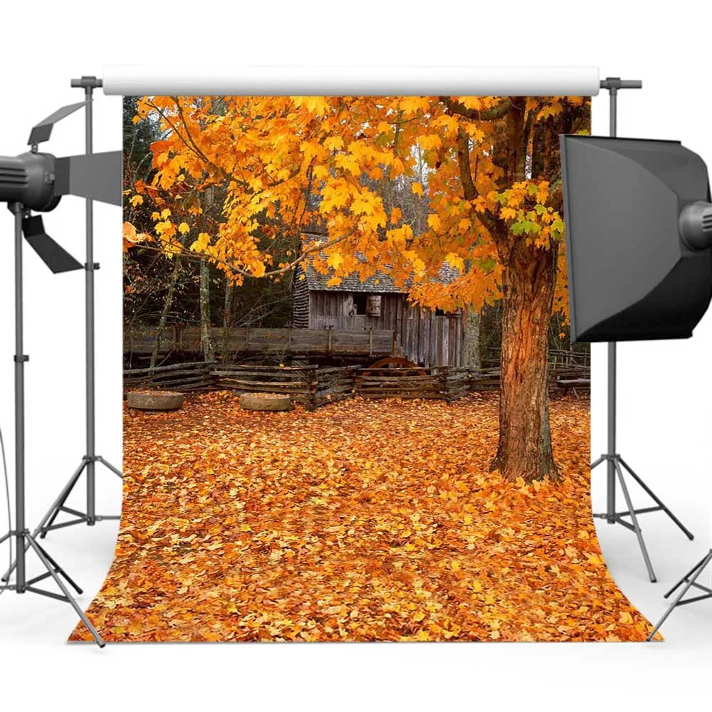 Mehofoto Maple Leaf Background for Photography Autumn Photo Backdrop Studio Forest Props MR-2096
Mehofoto Maple Leaf Background for Photography Autumn Photo Backdrop Studio Forest Props MR-2096