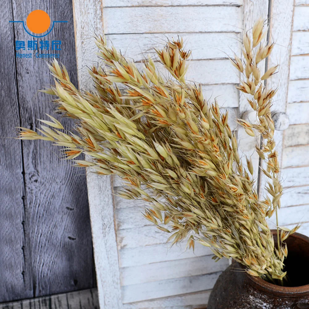 50pcs dried natural flower bouquets natural dried ear of oats bouquets oats ear bunches
50pcs dried natural flower bouquets natural dried ear of oats bouquets oats ear bunches