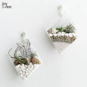 Creative Wall-Hanging Glass Vase for Hydroponic Plants Home Office Decoration Gift
Creative Wall-Hanging Glass Vase for Hydroponic Plants Home Office Decoration Gift