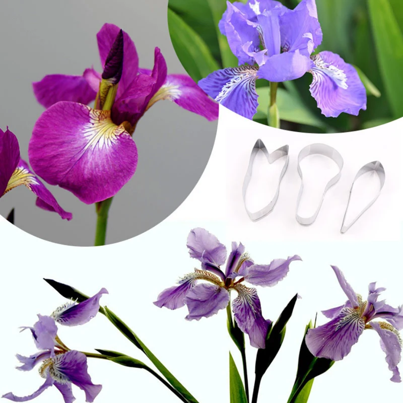 Iris Petals Stainless Stell Cookie Cutter Pastry & Biscuit Baking Cutter Cake Decoration Tools Cupcake Mold Fondant Tools
Iris Petals Stainless Stell Cookie Cutter Pastry & Biscuit Baking Cutter Cake Decoration Tools Cupcake Mold Fondant Tools