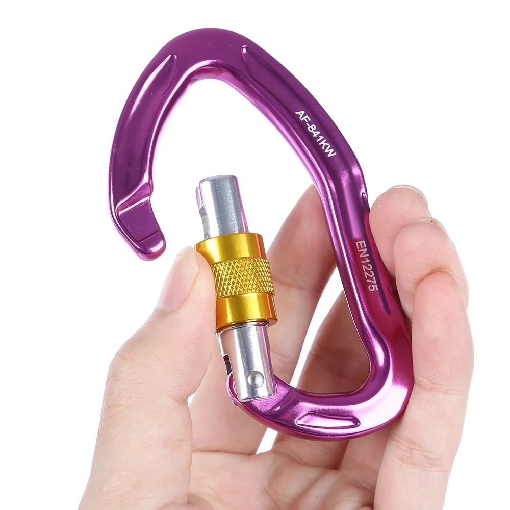 Professional Carabiner D Shape Safety Master Lock Outdoor Rock Climbing Buckle Equipment Alloy Climbing Carabiner Hook Buckle
Professional Carabiner D Shape Safety Master Lock Outdoor Rock Climbing Buckle Equipment Alloy Climbing Carabiner Hook Buckle