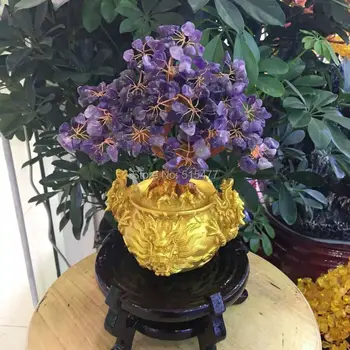 natural amethyst quartz crystal lucky tree bring in wealth and treasure fortune tree free shipping
natural amethyst quartz crystal lucky tree bring in wealth and treasure fortune tree free shipping