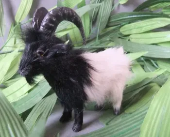 13x12cm Simulation goat, sheep toy model polyethylene&furs Resin handicraft,props,decoration d0062
13x12cm Simulation goat, sheep toy model polyethylene&furs Resin handicraft,props,decoration d0062