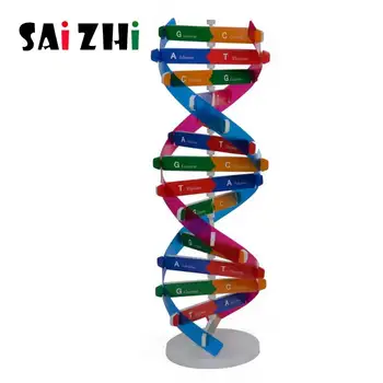 Saizhi DIY Children STEM Toy Physics Science Experiment Creative Learning Educational Toys Set DIY Model DNA Gifts
Saizhi DIY Children STEM Toy Physics Science Experiment Creative Learning Educational Toys Set DIY Model DNA Gifts