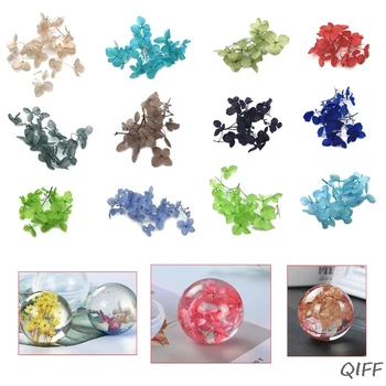 1 Box Dry Flower DIY Epoxy Resin Crafts Handmade Filling Materials Filler Dried Flowers Time Stone Jewelry Making Desk Decorati
1 Box Dry Flower DIY Epoxy Resin Crafts Handmade Filling Materials Filler Dried Flowers Time Stone Jewelry Making Desk Decorati