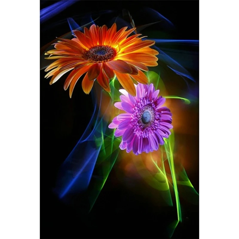 5d new Diamond Painting Cross Stitch Diy diamond embroidery Needlework Rhinestone Home Decor Mosaic diamonds Gerbera M235
5d new Diamond Painting Cross Stitch Diy diamond embroidery Needlework Rhinestone Home Decor Mosaic diamonds Gerbera M235