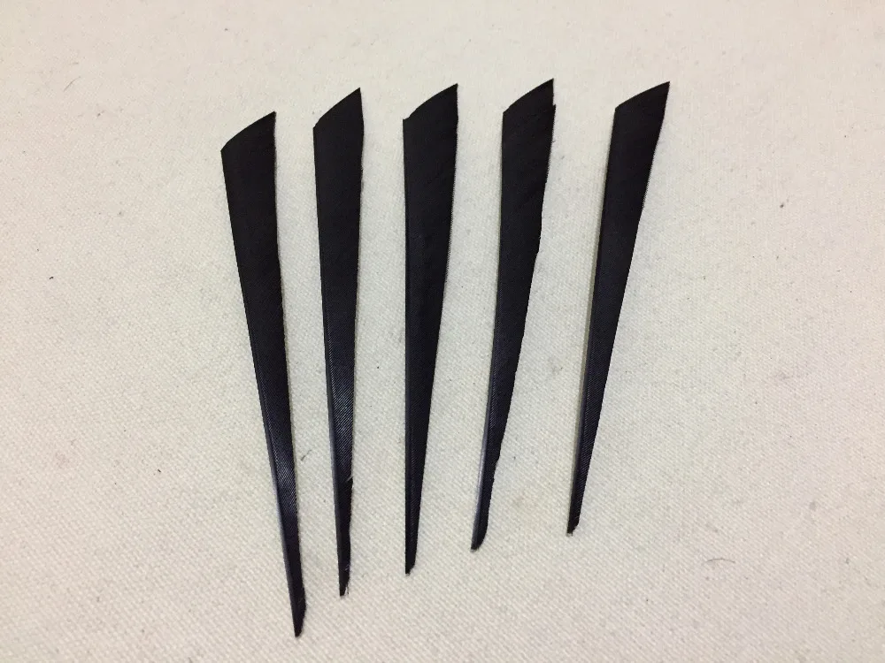 100pcs 5" Turkey fletching feather right wing for DIY traditional bow arrow Free shipping
100pcs 5" Turkey fletching feather right wing for DIY traditional bow arrow Free shipping
