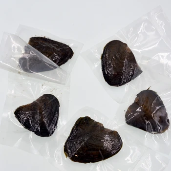 5pcs Akoya Pearl Oysters With Real Beads 7-8mm Freshwater Vacuum Packaging New
5pcs Akoya Pearl Oysters With Real Beads 7-8mm Freshwater Vacuum Packaging New