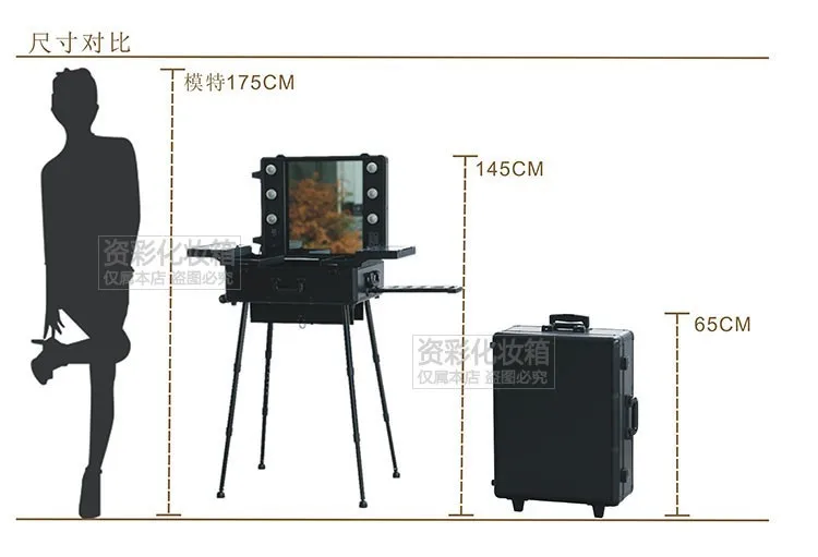 Rolling Studio Makeup Artist Cosmetic Case (9)