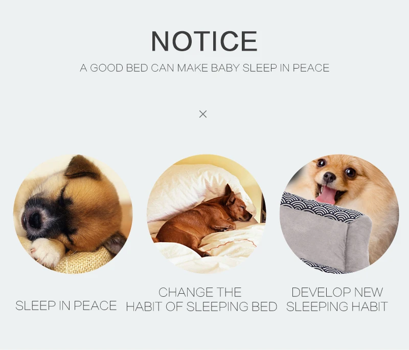 6 dog beds for medium dogs 