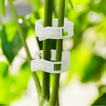 10Pcs/50Pcs/100Pcs Garden Plant Support Clips Connects Plants Vine Tomato Vegetable Fastening Clip Plant Plastic Clip Supplies
10Pcs/50Pcs/100Pcs Garden Plant Support Clips Connects Plants Vine Tomato Vegetable Fastening Clip Plant Plastic Clip Supplies