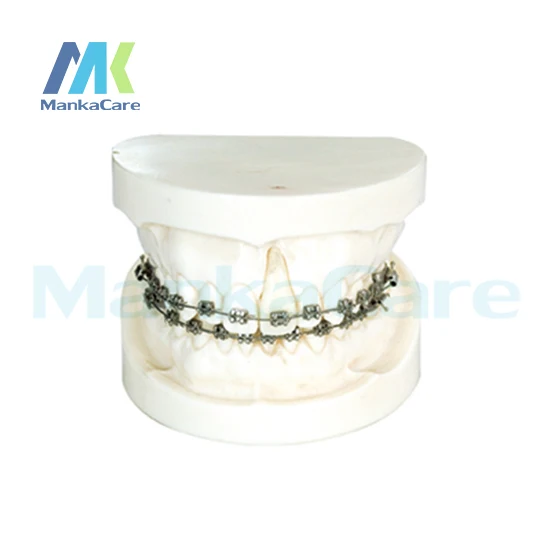 Manka Care - Ortho With Edgewise Bracket/Produced by imported resins, without articulator Oral Model Teeth Tooth Model
Manka Care - Ortho With Edgewise Bracket/Produced by imported resins, without articulator Oral Model Teeth Tooth Model