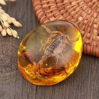 1Pcs Fashion Natural Insects Amber Stone Ornament Originality Scorpions butterfly Bee Crab Decorations DIY Crafts Pendant Gift
1Pcs Fashion Natural Insects Amber Stone Ornament Originality Scorpions butterfly Bee Crab Decorations DIY Crafts Pendant Gift