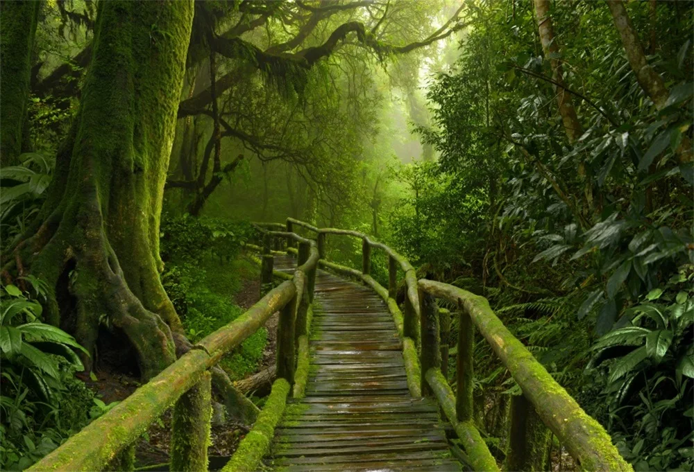 Laeacco Old Forest Trees Wooden Bridge Scenic Photographic Backgrounds Customized Photography Backdrops For Photo Studio
Laeacco Old Forest Trees Wooden Bridge Scenic Photographic Backgrounds Customized Photography Backdrops For Photo Studio