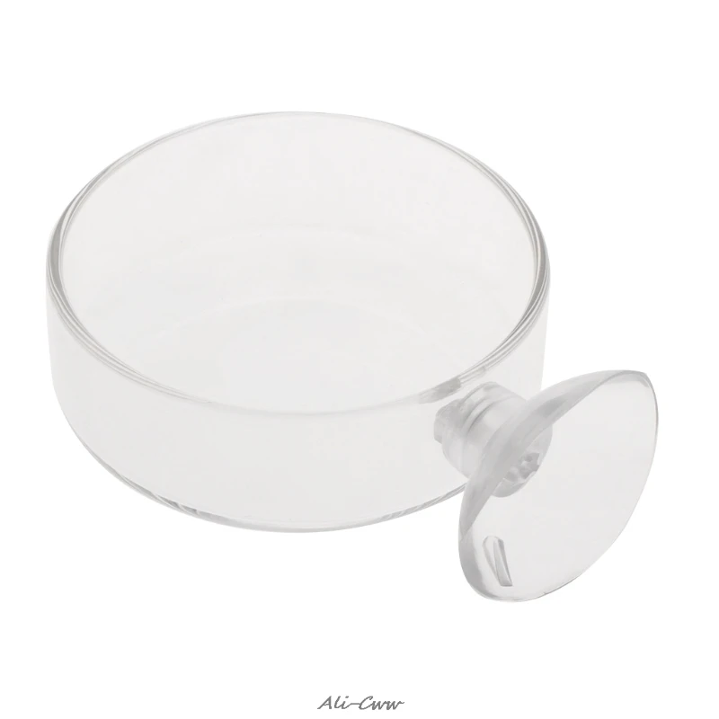 New Arrival Fish Tank Feeder Aquarium Shrimp Glass Feeding Bowl Clear Dish Tray A823
New Arrival Fish Tank Feeder Aquarium Shrimp Glass Feeding Bowl Clear Dish Tray A823