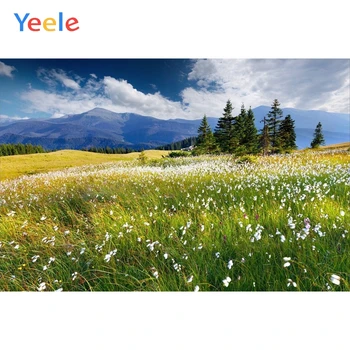 Yeele Mountain Grass Flower Scenery Photography Backgrounds Baby Photocall Custom Vinyl Photographic Backdrops For Photo Studio
Yeele Mountain Grass Flower Scenery Photography Backgrounds Baby Photocall Custom Vinyl Photographic Backdrops For Photo Studio