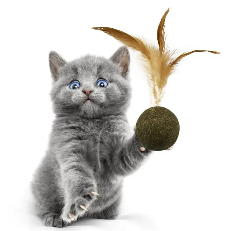 Cats Natural Catnip Toy Rolling Ball with Soft Feather Cat Grass Biscuits Pet Snacks Teeth Treats Toy Cleaning Toy Pet Products
Cats Natural Catnip Toy Rolling Ball with Soft Feather Cat Grass Biscuits Pet Snacks Teeth Treats Toy Cleaning Toy Pet Products