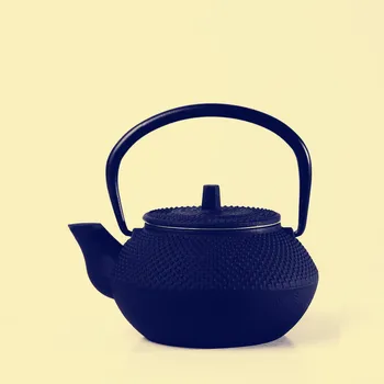 0.3L small particles Kung Fu teapot Japanese iron pots cast iron pots pig iron pot with filter Chinese wind high - end gifts
0.3L small particles Kung Fu teapot Japanese iron pots cast iron pots pig iron pot with filter Chinese wind high - end gifts