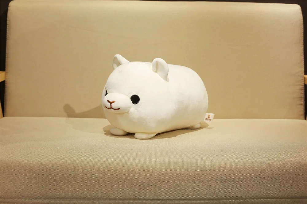 HTB1RR3hacnrK1RjSspkq6yuvXXaL