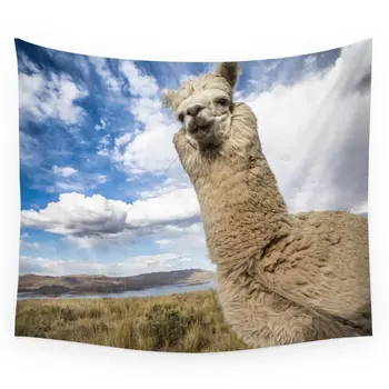 El Llama Wall Tapestry Wedding Party Gift Bedspread Beach Towel Yoga Picnic Mat
El Llama Wall Tapestry Wedding Party Gift Bedspread Beach Towel Yoga Picnic Mat