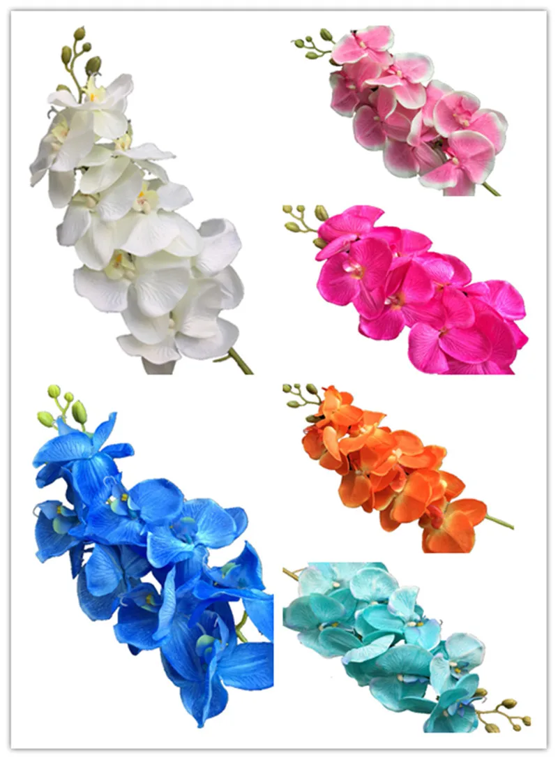 25pcs Moth Orchids 8 heads Big Size Long Orange Color Phalaenopsis Orchid for Wedding Centerpieces Decorative Artificial Flowers
25pcs Moth Orchids 8 heads Big Size Long Orange Color Phalaenopsis Orchid for Wedding Centerpieces Decorative Artificial Flowers