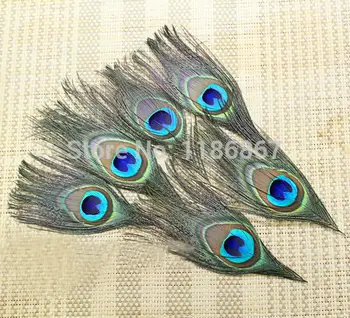 50Pcs/Lot 12cmLenghth Eye:2.5-3.5cm 100% Nature Peacock Feather Peacock Feather Eyes FREESHIPPING wedding decorations for sale
50Pcs/Lot 12cmLenghth Eye:2.5-3.5cm 100% Nature Peacock Feather Peacock Feather Eyes FREESHIPPING wedding decorations for sale