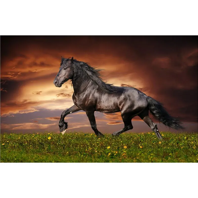 Full Square Diy 5D Diamond Embroidery Painting Horse Home Decorative Resin Rhinestones Cross-Stitch Icon Beads Needlework
Full Square Diy 5D Diamond Embroidery Painting Horse Home Decorative Resin Rhinestones Cross-Stitch Icon Beads Needlework