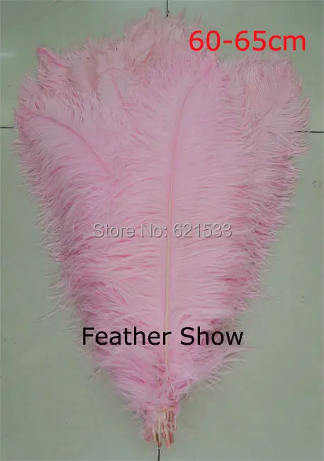 40pcs/lot Light pink ostrich feather for wedding table centerpiece decorations AA quality 60-65CM 24-26inches long
40pcs/lot Light pink ostrich feather for wedding table centerpiece decorations AA quality 60-65CM 24-26inches long