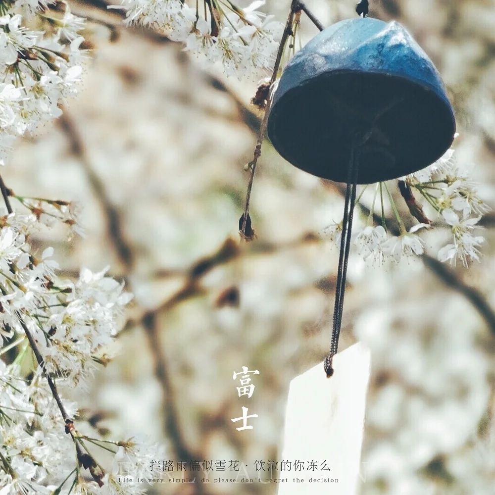 Cast iron Japanese bell decoration Fuji Mountain retro Japanese Hefeng temple bell birthday gift
Cast iron Japanese bell decoration Fuji Mountain retro Japanese Hefeng temple bell birthday gift