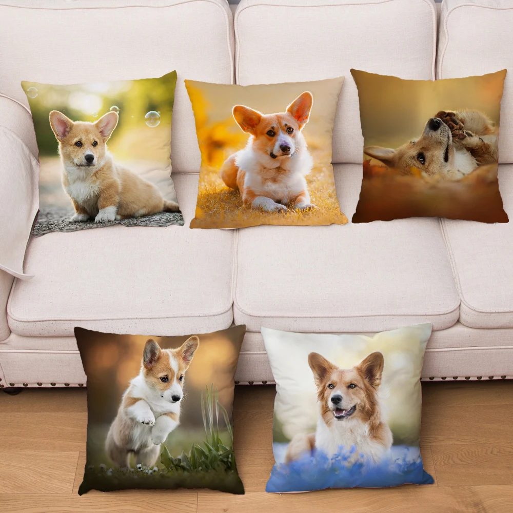 Cute Welsh Corgi Pembroke Dog Pillowcase 45*45cm Cushion Cover Soft Short Plush Decor Pet Animal Pillow Case Car for Sofa Home
Cute Welsh Corgi Pembroke Dog Pillowcase 45*45cm Cushion Cover Soft Short Plush Decor Pet Animal Pillow Case Car for Sofa Home